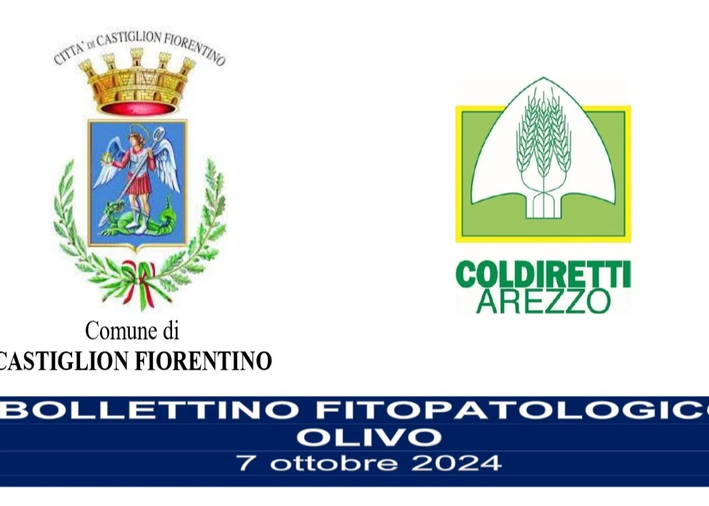 17-BOLLETTINO-FITOPATOLOGICO-OLIVO-COMUNE-DI-CASTIGLION-FIORENTINO-anno-2024_page-0001-original_webp