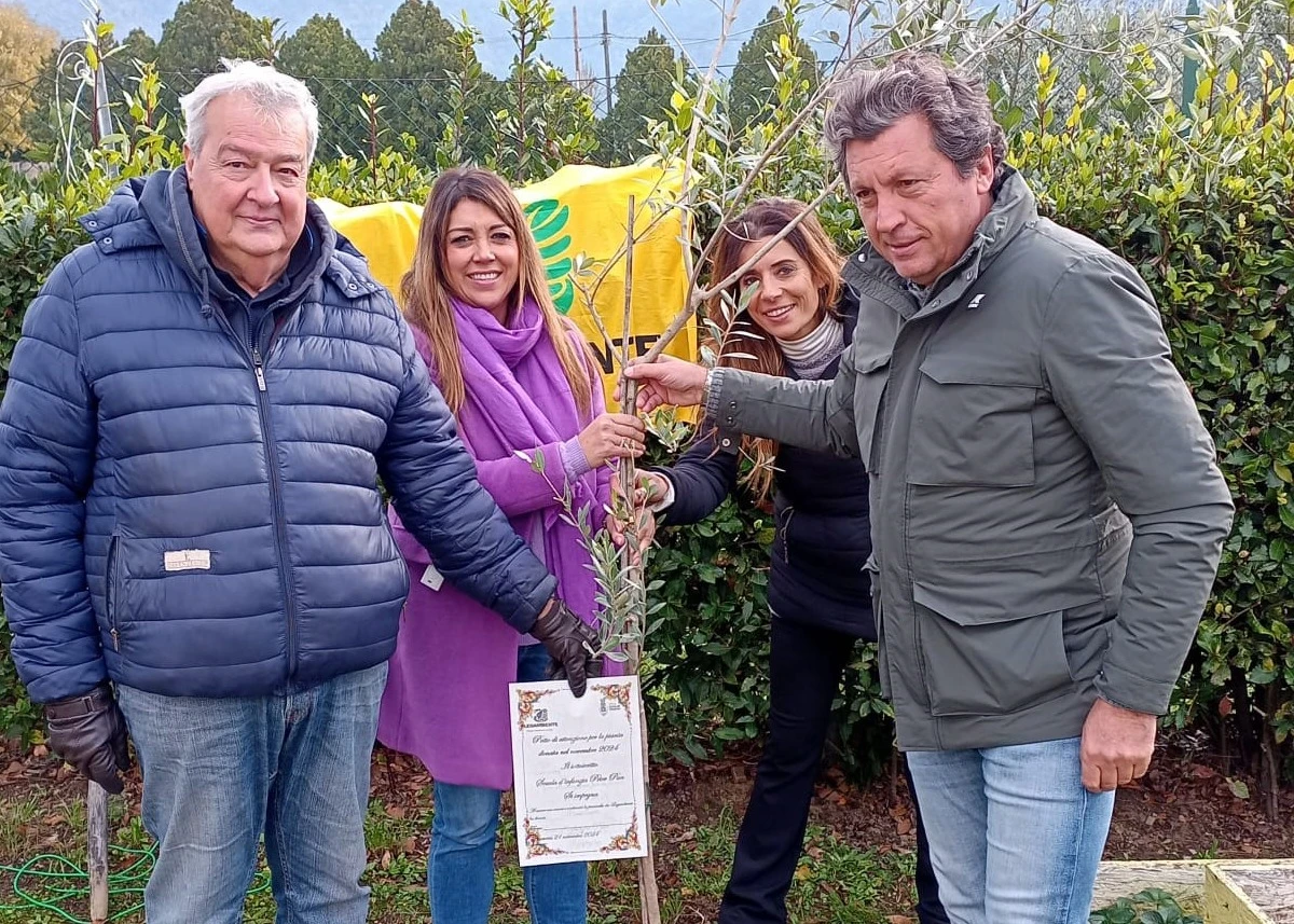 La festa dell'albero a Castiglion Fiorentino